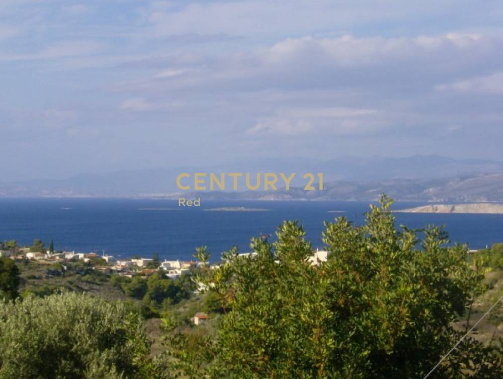 Οικόπεδο — Αίγινα