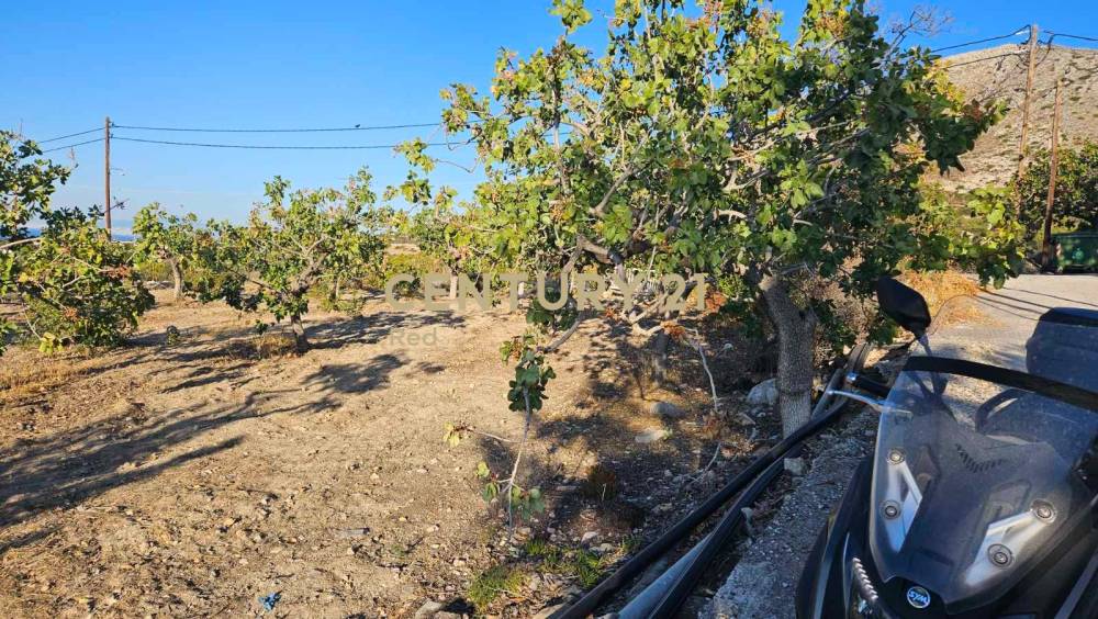 Οικόπεδο 2.525 τ.μ. προς πώληση στην περιοχή Αίγινα — φωτογραφία 6