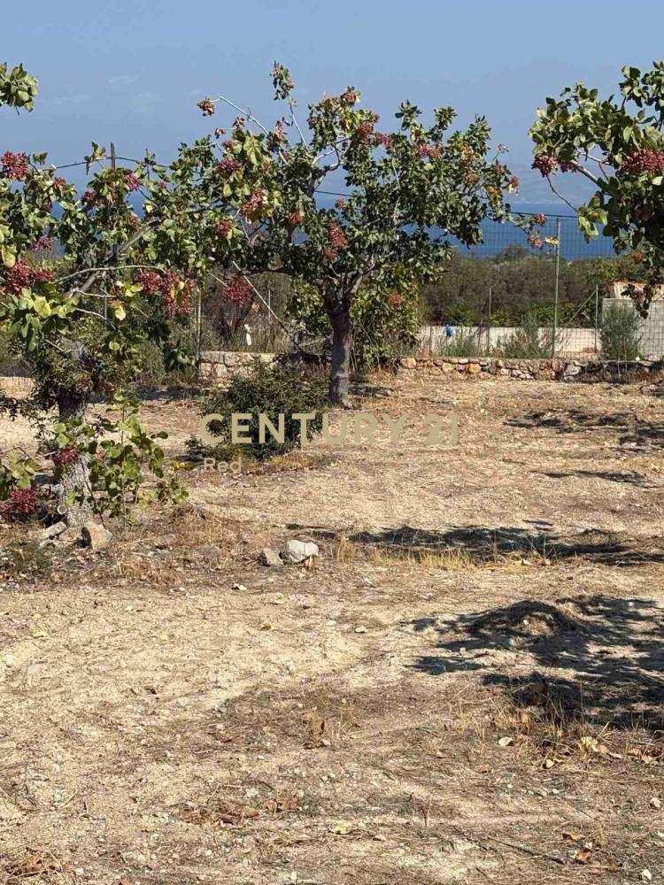Οικόπεδο — Αίγινα