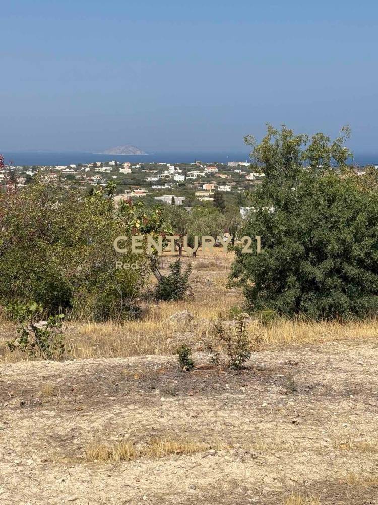 Οικόπεδο — Αίγινα