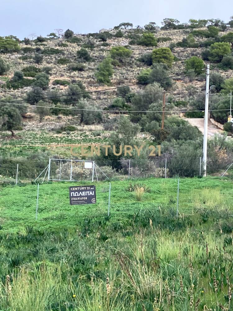 Οικόπεδο 314 τ.μ. προς πώληση στην περιοχή Σαλαμίνα — φωτογραφία 16