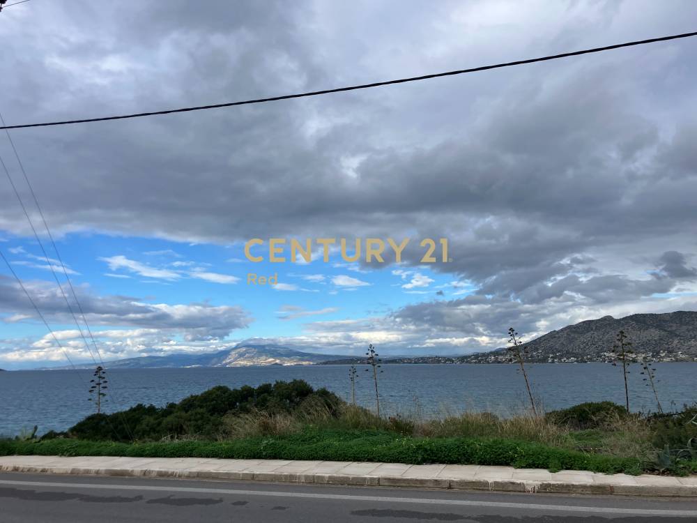 Οικόπεδο 314 τ.μ. προς πώληση στην περιοχή Σαλαμίνα — φωτογραφία 17