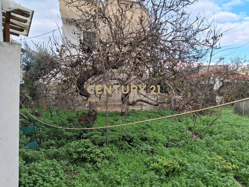 Οικόπεδο 1.008 τ.μ. προς πώληση στην περιοχή Αίγινα — φωτογραφία 8