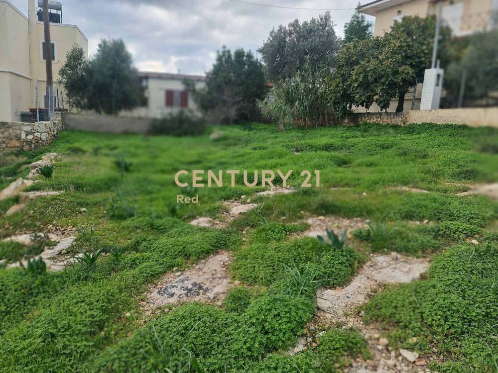 Οικόπεδο 1.653 τ.μ. προς πώληση στην περιοχή Αίγινα — φωτογραφία 9