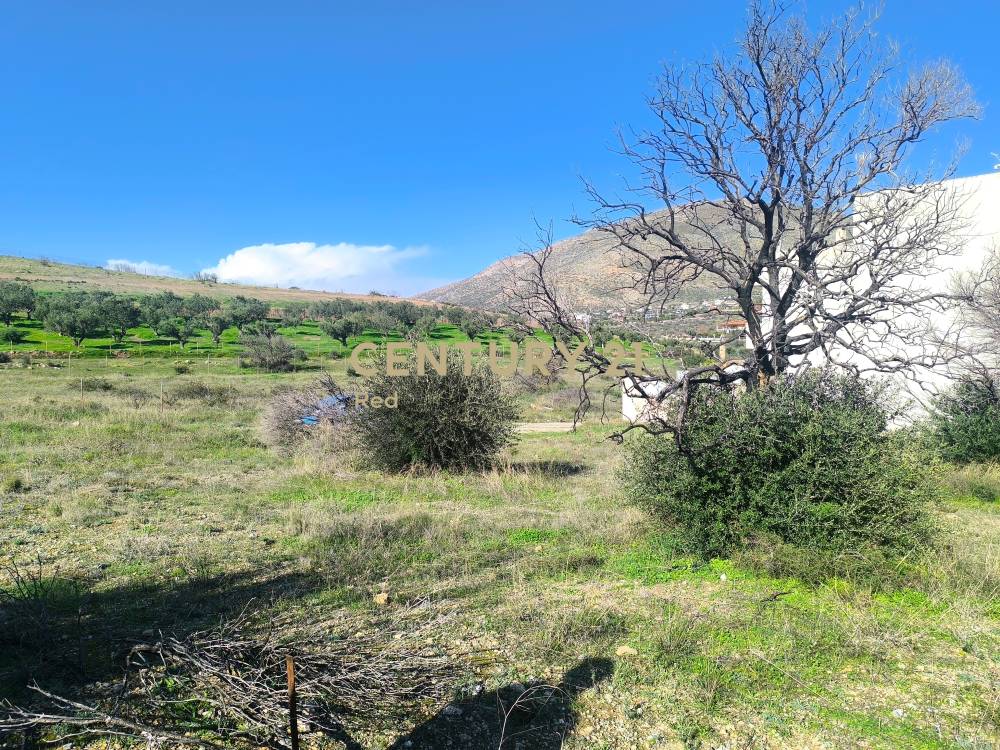 Οικόπεδο — Καλύβια Θορικού