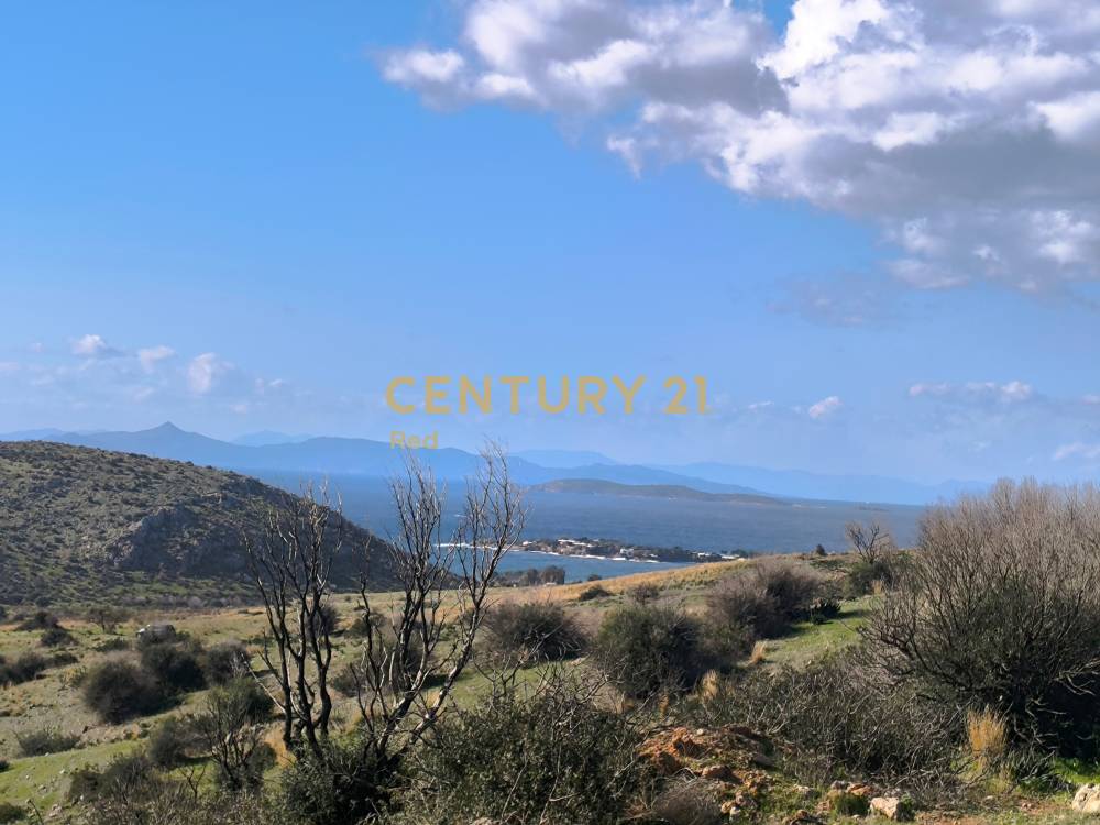 Οικόπεδο 748 τ.μ. προς πώληση στην περιοχή Καλύβια Θορικού — φωτογραφία 7