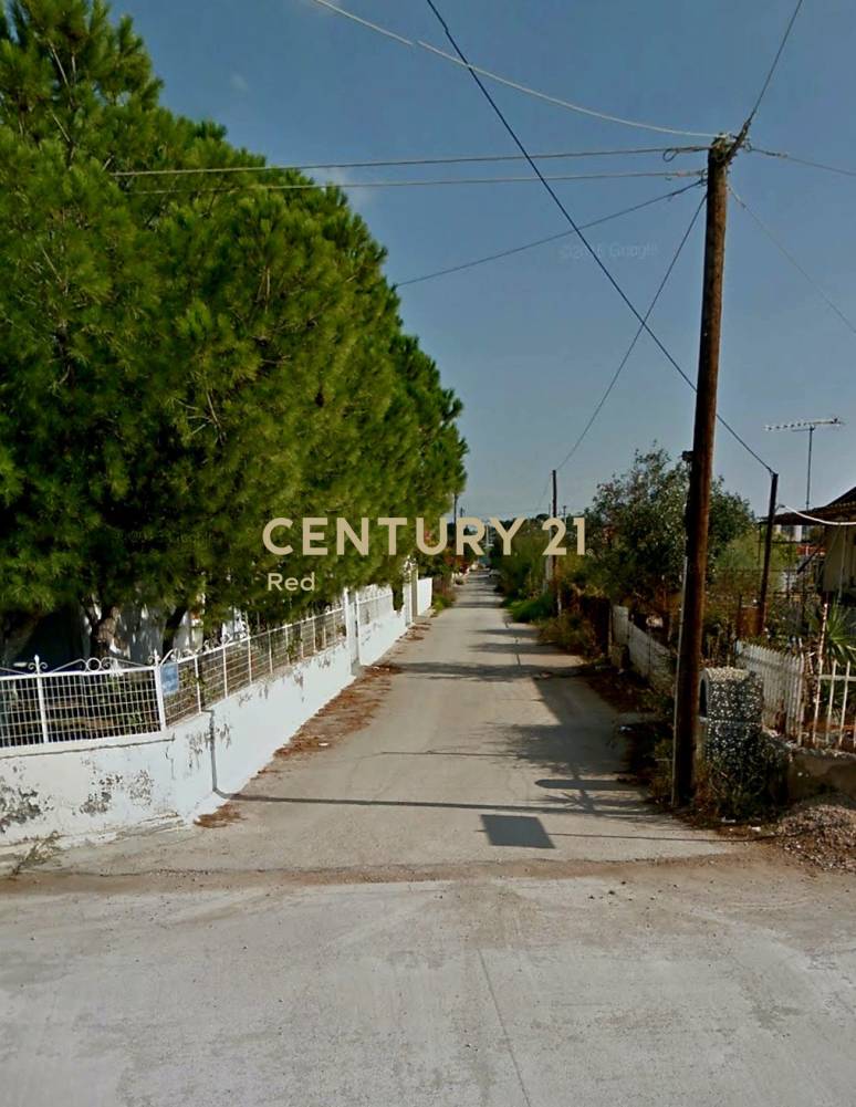 Οικόπεδο — Σαλαμίνα
