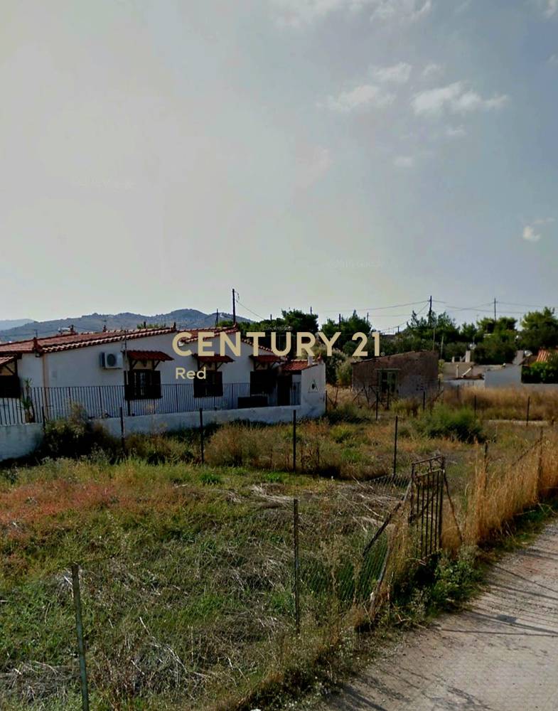Οικόπεδο — Σαλαμίνα