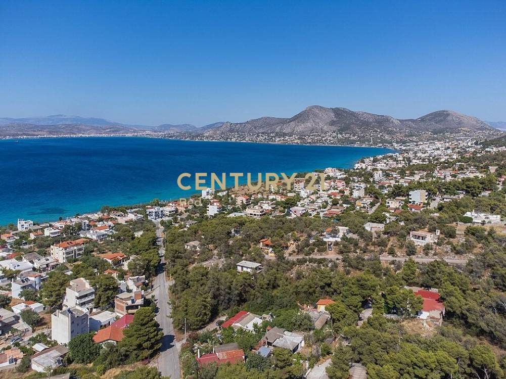 Οικόπεδο — Σαλαμίνα