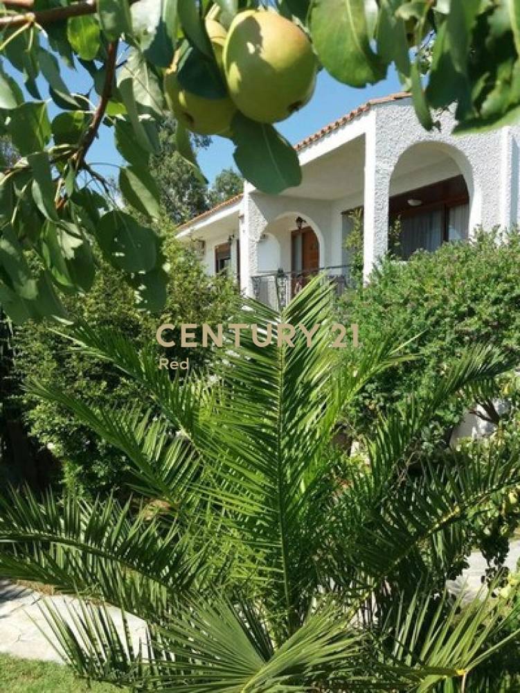 Κτίριο 370 τ.μ. προς πώληση στην περιοχή Ραφήνα — φωτογραφία 30