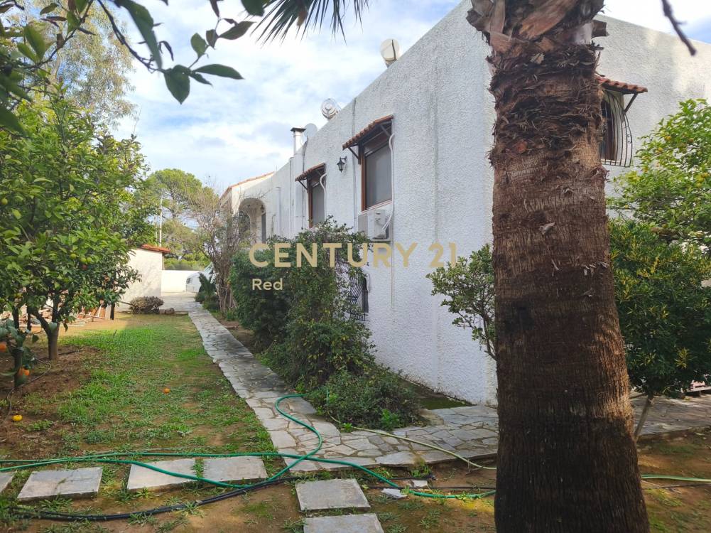 Κτίριο 370 τ.μ. προς πώληση στην περιοχή Ραφήνα — φωτογραφία 26