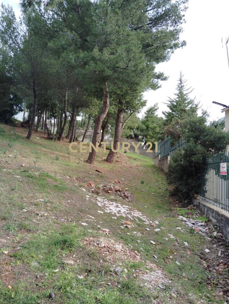 Οικόπεδο 800 τ.μ. προς πώληση στην περιοχή Διόνυσος — φωτογραφία 8
