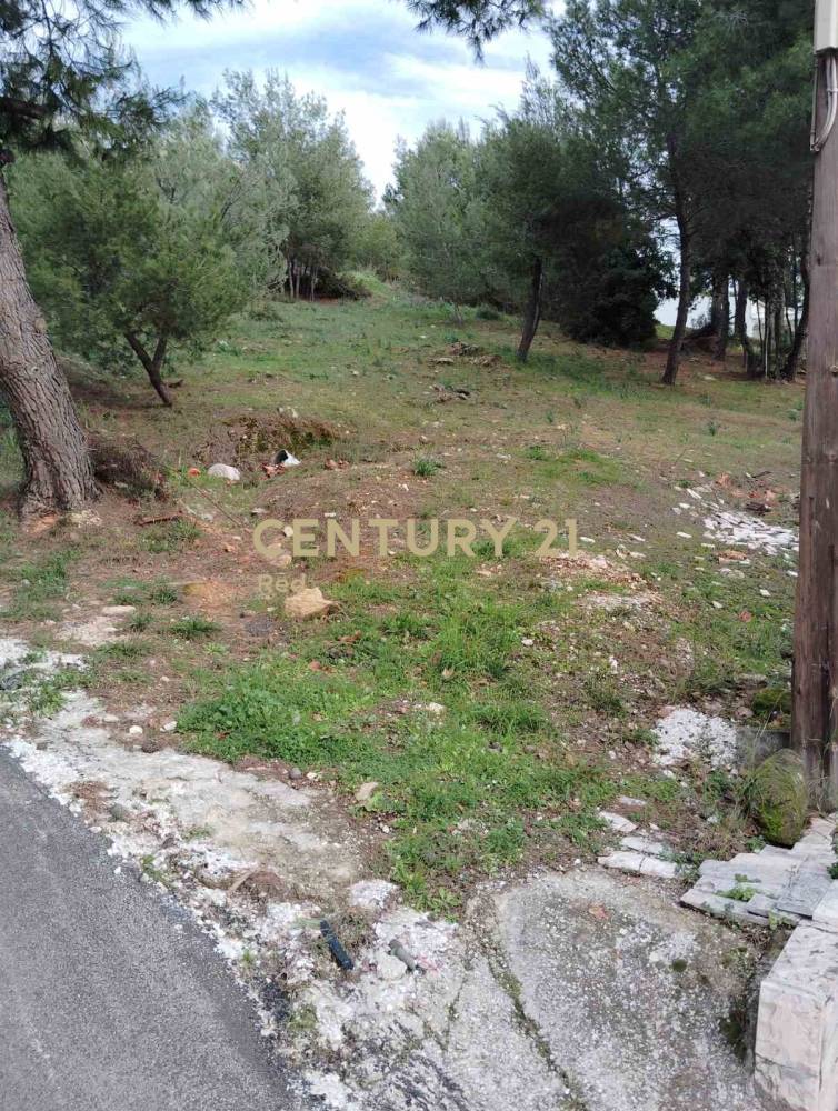 Οικόπεδο 800 τ.μ. προς πώληση στην περιοχή Διόνυσος — φωτογραφία 9