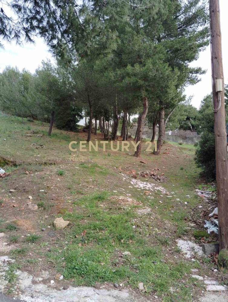 Οικόπεδο 800 τ.μ. προς πώληση στην περιοχή Διόνυσος — φωτογραφία 10