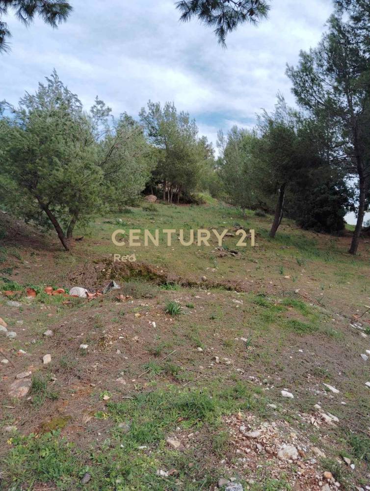 Οικόπεδο 800 τ.μ. προς πώληση στην περιοχή Διόνυσος — φωτογραφία 11
