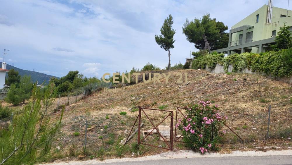Οικόπεδο 800 τ.μ. προς πώληση στην περιοχή Διόνυσος — φωτογραφία 7