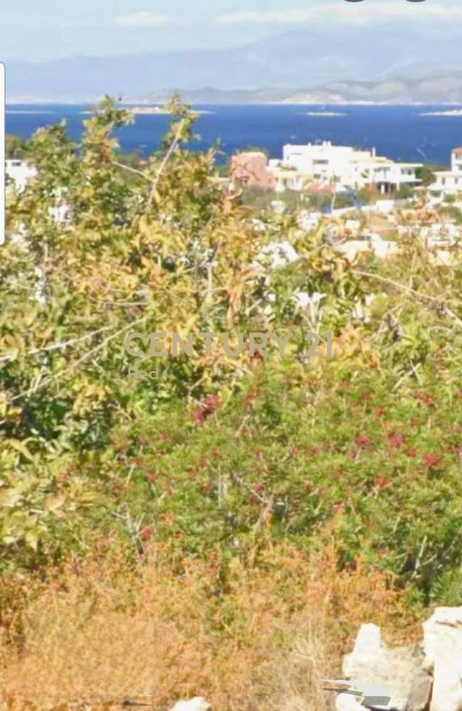 Οικόπεδο στην περιοχή Αίγινα — φωτογραφία 5