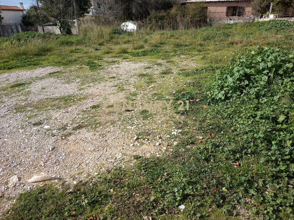 Οικόπεδο στην περιοχή Αχαρνές — φωτογραφία 2