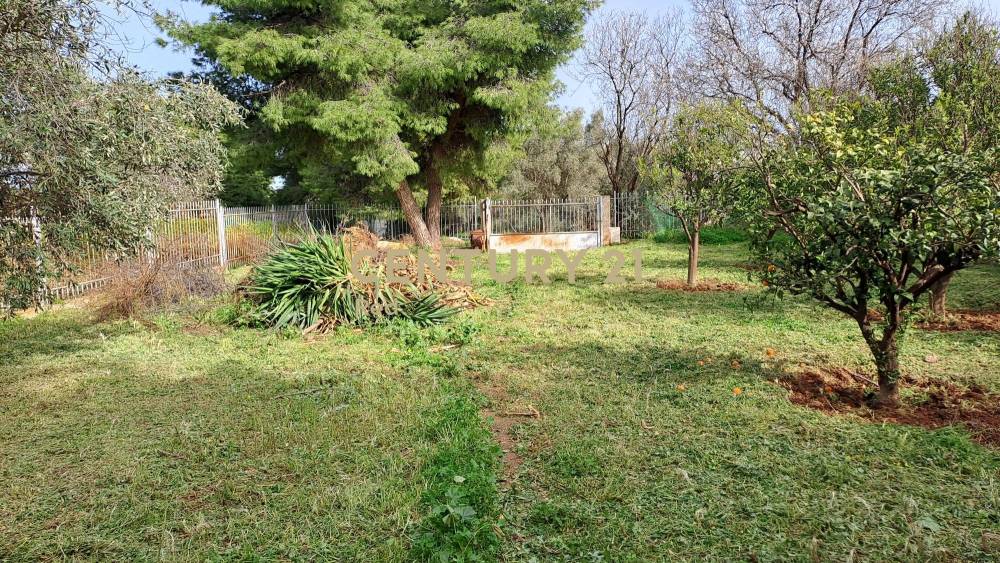 Μονοκατοικία 280 τ.μ. προς πώληση στην περιοχή Νέα Μάκρη — φωτογραφία 22