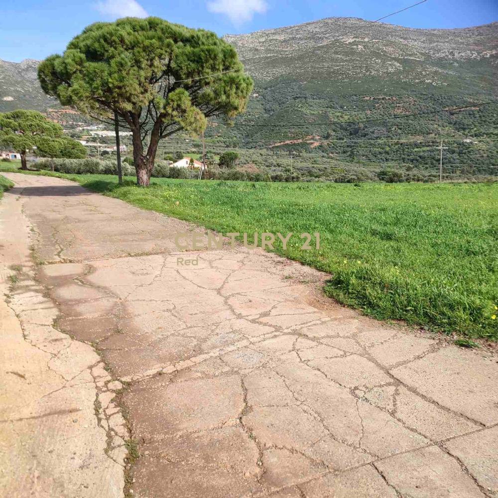 Αγροτεμάχιο στην περιοχή Βοϊων — φωτογραφία 3