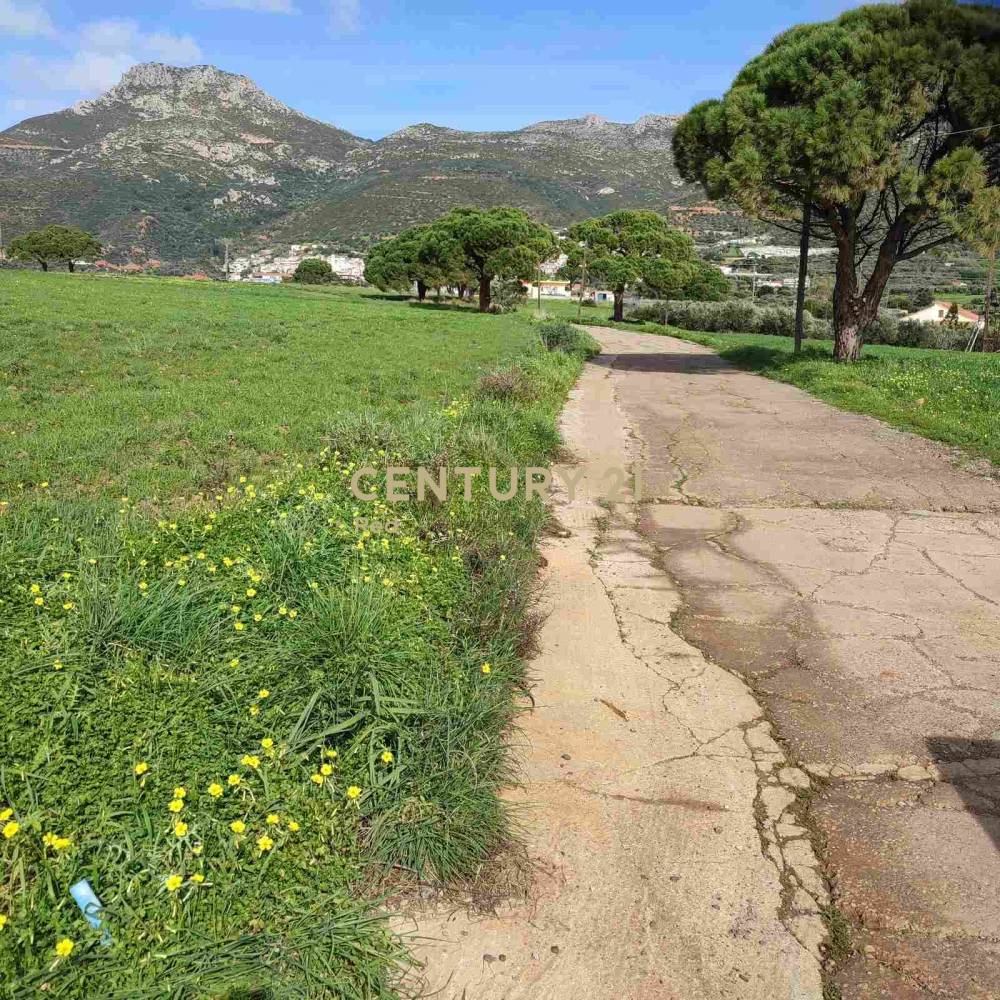 Αγροτεμάχιο στην περιοχή Βοϊων — φωτογραφία 4
