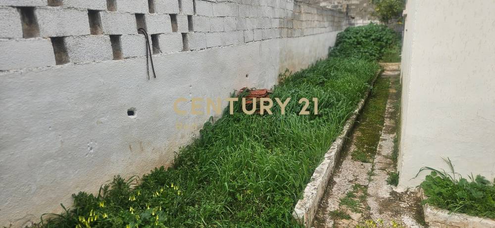 Οικόπεδο στην περιοχή Κορωπί — φωτογραφία 4