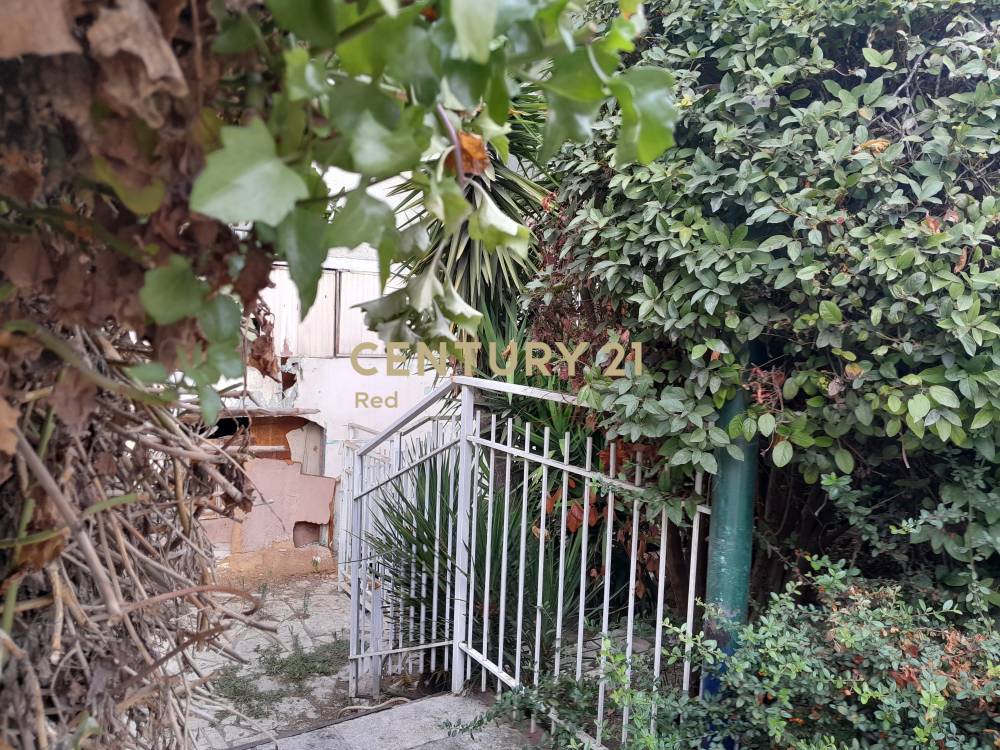 Κατάστημα 220 τ.μ. προς πώληση στην περιοχή Ιλίσια — φωτογραφία 11