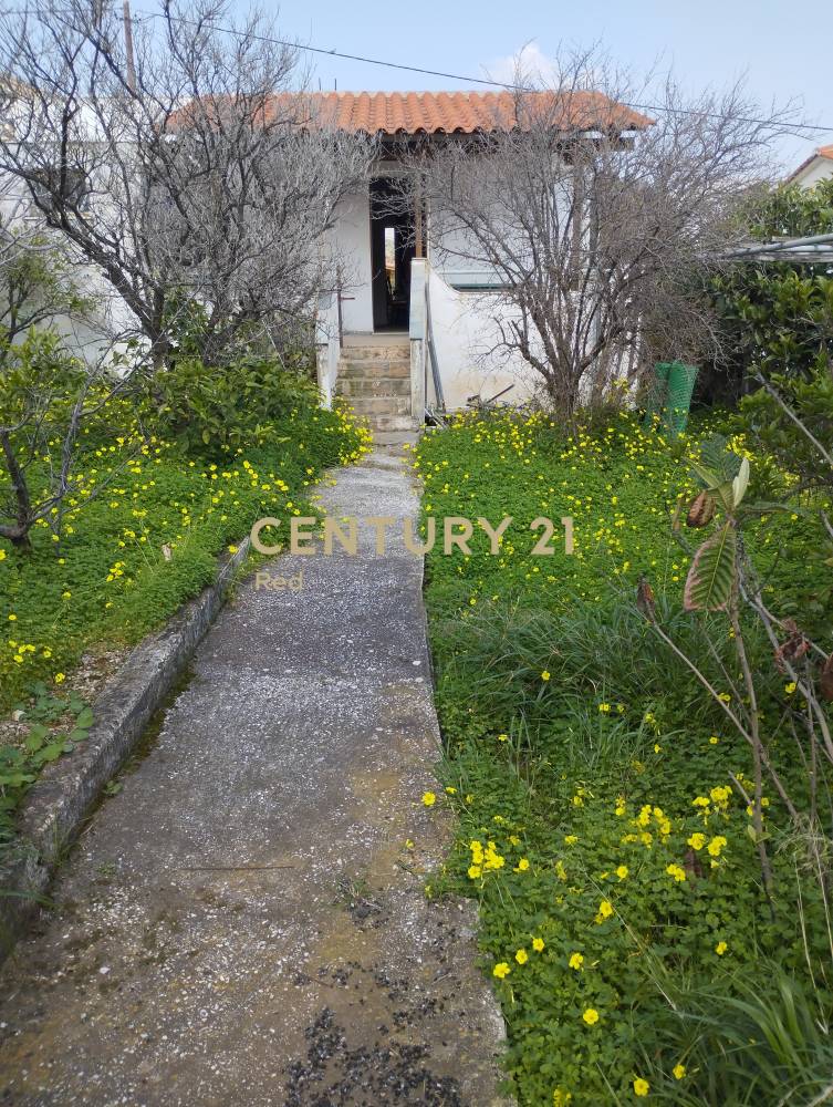 Μονοκατοικία 85 τ.μ. προς πώληση στην περιοχή Ανάβυσσος — φωτογραφία 21