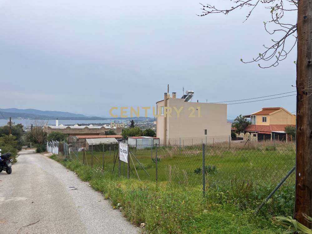 Οικόπεδο — Νέα Πέραμος (Μεγάλο Πεύκο, 0)