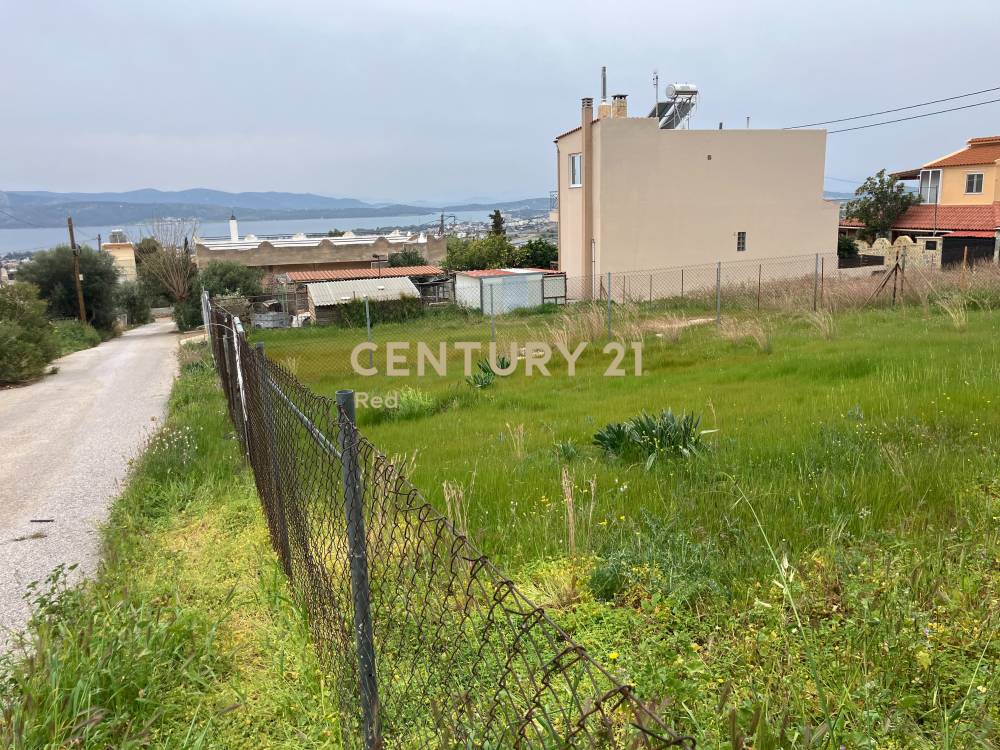 Οικόπεδο — Νέα Πέραμος (Μεγάλο Πεύκο, 0)