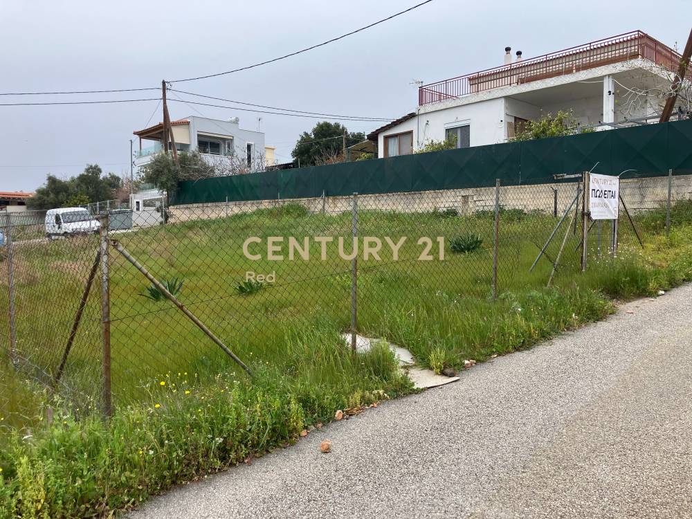 Οικόπεδο 225 τ.μ. προς πώληση στην περιοχή Νέα Πέραμος (Μεγάλο Πεύκο, 0) — φωτογραφία 11