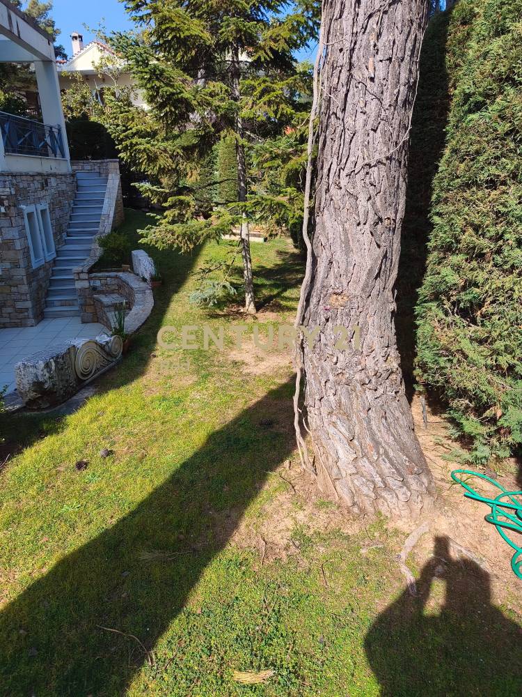 Μονοκατοικία 315 τ.μ. προς πώληση στην περιοχή Διόνυσος — φωτογραφία 29