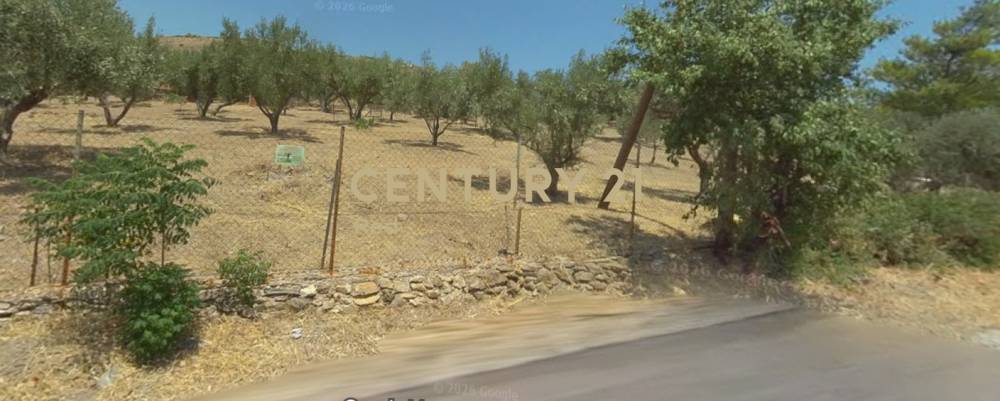 Οικόπεδο στην περιοχή Πεντέλη — φωτογραφία 5