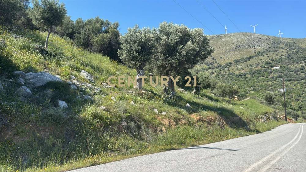 Οικόπεδο στην περιοχή Στύρα — φωτογραφία 5