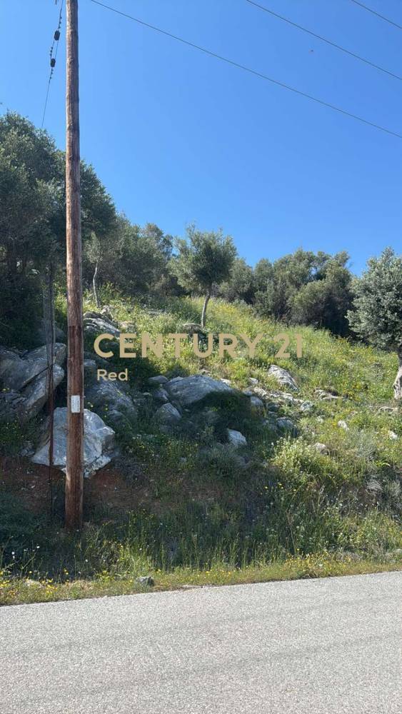 Οικόπεδο 1.084 τ.μ. προς πώληση στην περιοχή Στύρα — φωτογραφία 6