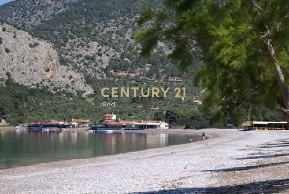 Μονοκατοικία 159 τ.μ. προς πώληση στην περιοχή Αλεποχώρι — φωτογραφία 22