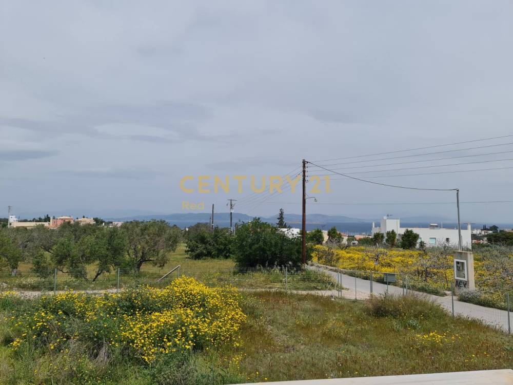 Οικόπεδο — Αίγινα