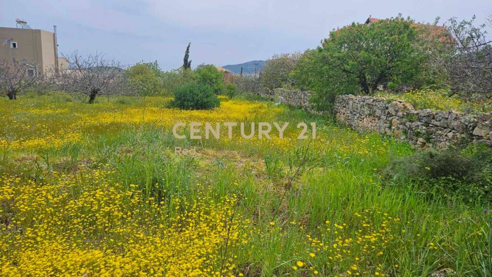 Οικόπεδο — Αίγινα
