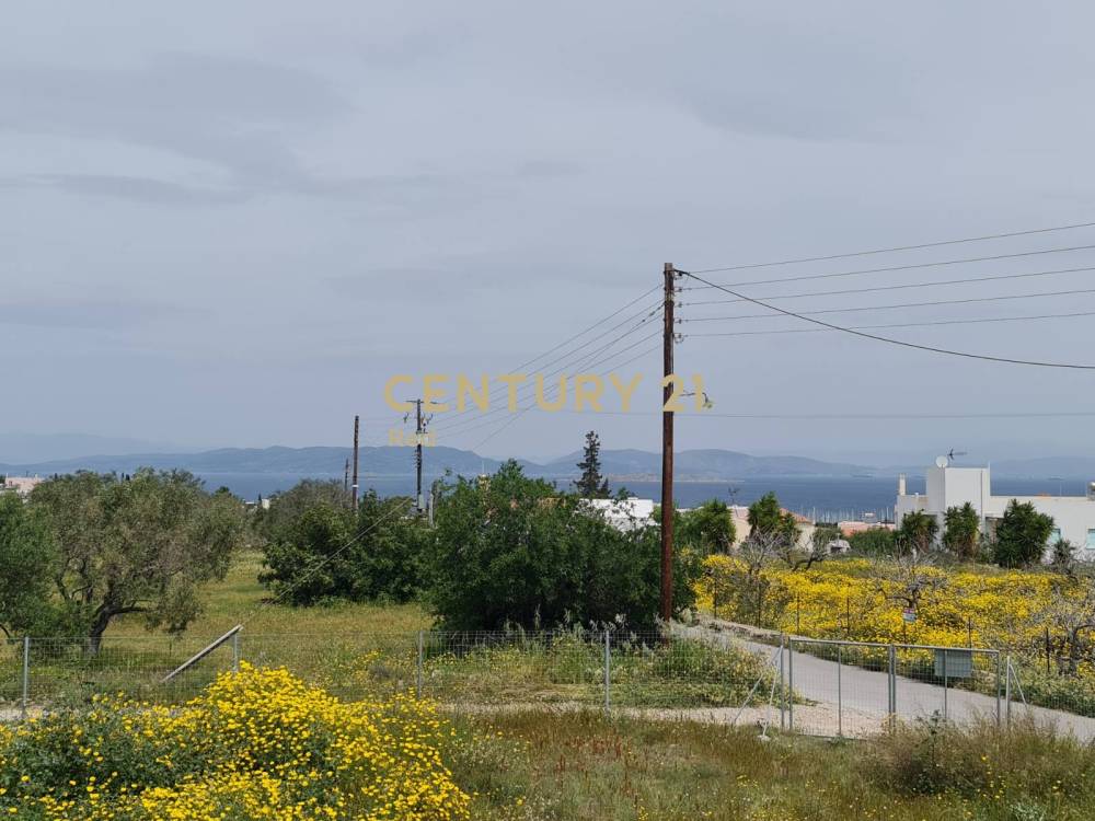 Οικόπεδο — Αίγινα
