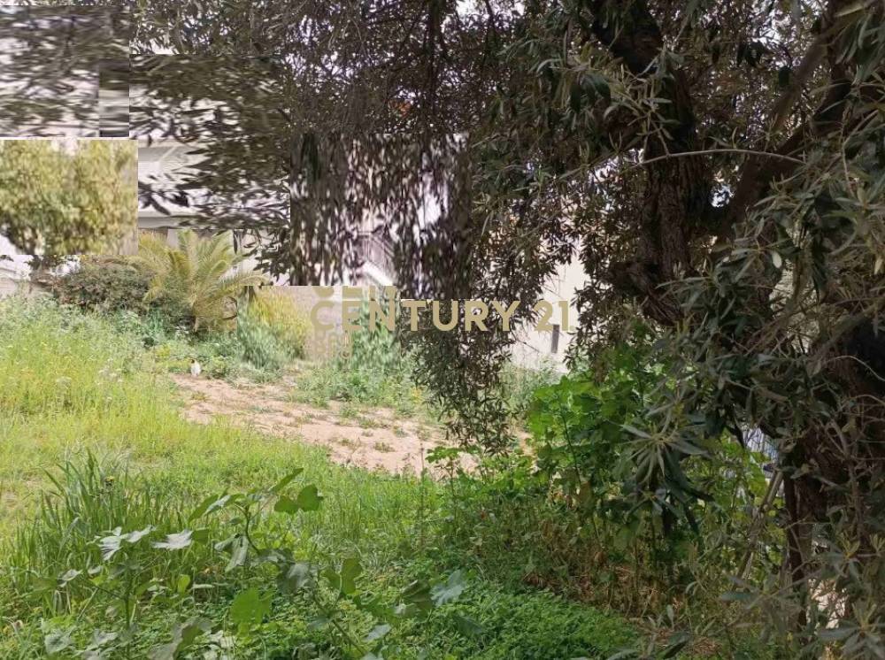 Οικόπεδο — Αργυρούπολη