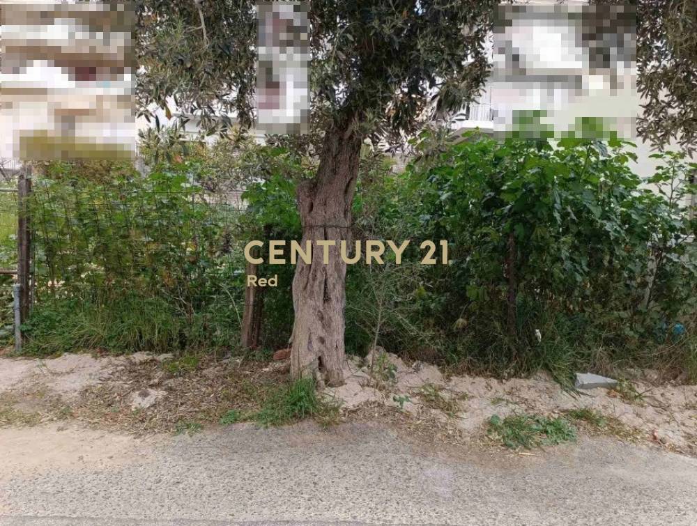 Οικόπεδο — Αργυρούπολη