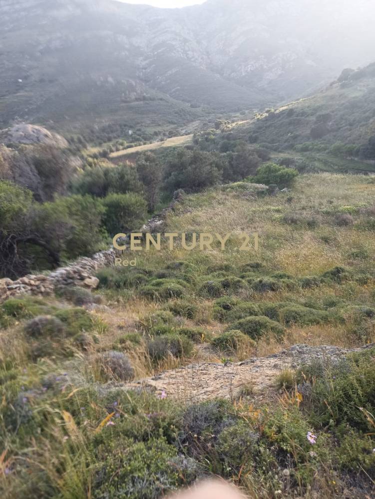 Αγροτεμάχιο — Σέριφος