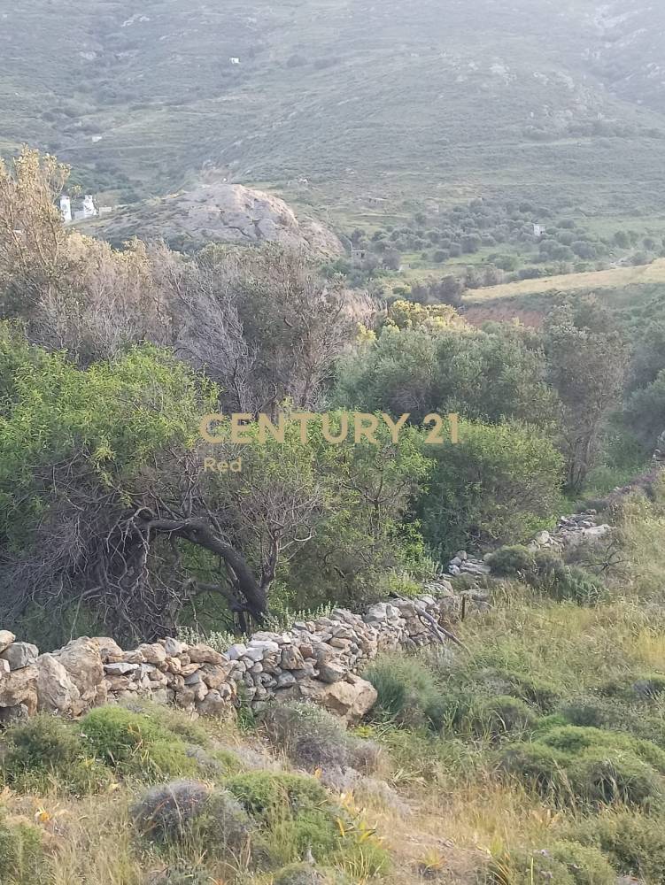Αγροτεμάχιο στην περιοχή Σέριφος — φωτογραφία 5