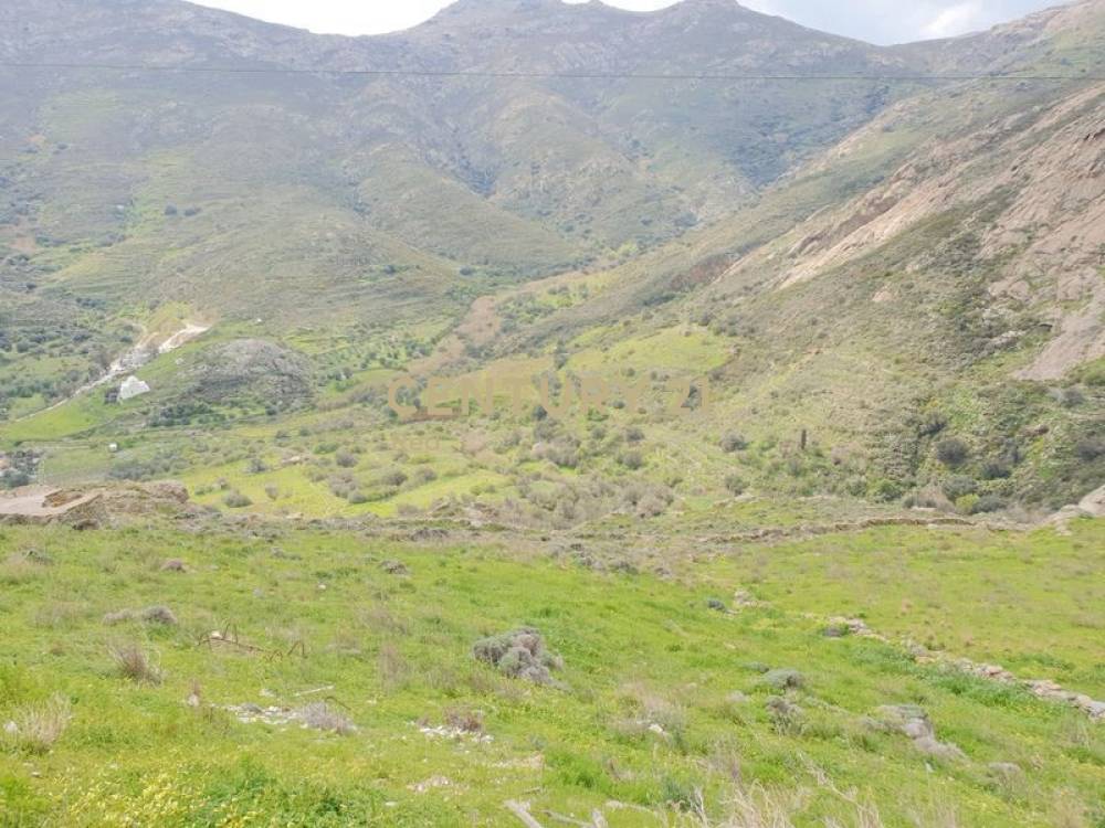 Αγροτεμάχιο 3.375 τ.μ. προς πώληση στην περιοχή Σέριφος — φωτογραφία 7