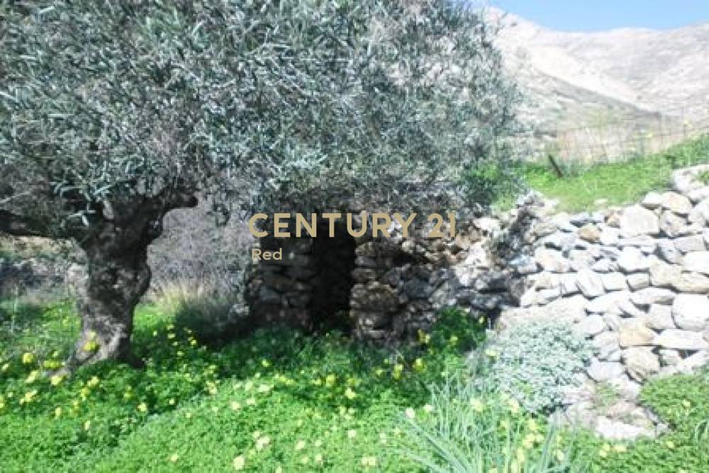 Αγροτεμάχιο 3.375 τ.μ. προς πώληση στην περιοχή Σέριφος — φωτογραφία 10