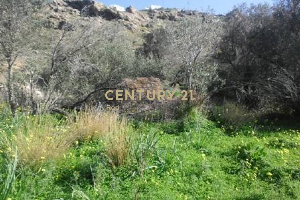 Αγροτεμάχιο 3.375 τ.μ. προς πώληση στην περιοχή Σέριφος — φωτογραφία 11