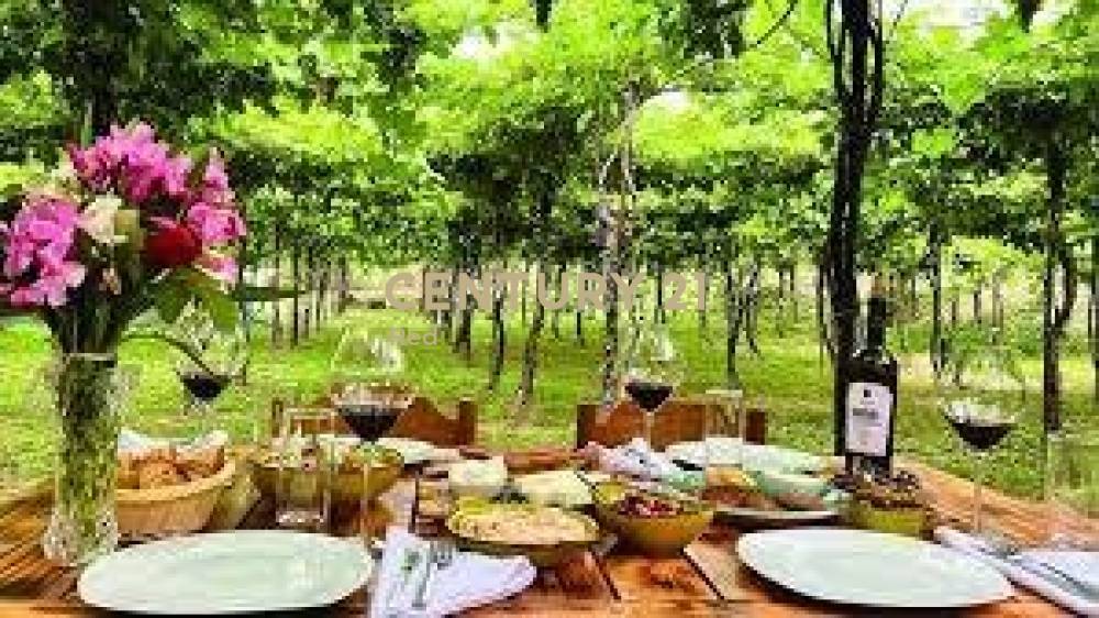 Οικόπεδο 27.000 τ.μ. προς πώληση στην περιοχή Αίγινα — φωτογραφία 12