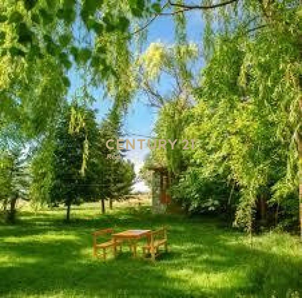 Οικόπεδο 27.000 τ.μ. προς πώληση στην περιοχή Αίγινα — φωτογραφία 13