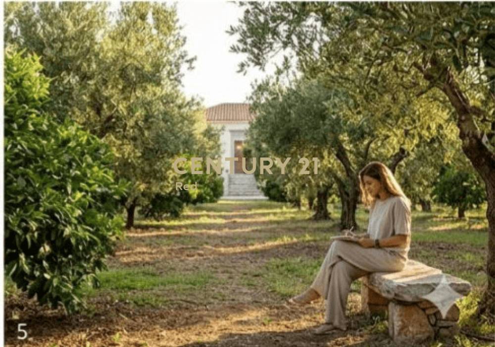 Οικόπεδο 27.000 τ.μ. προς πώληση στην περιοχή Αίγινα — φωτογραφία 15
