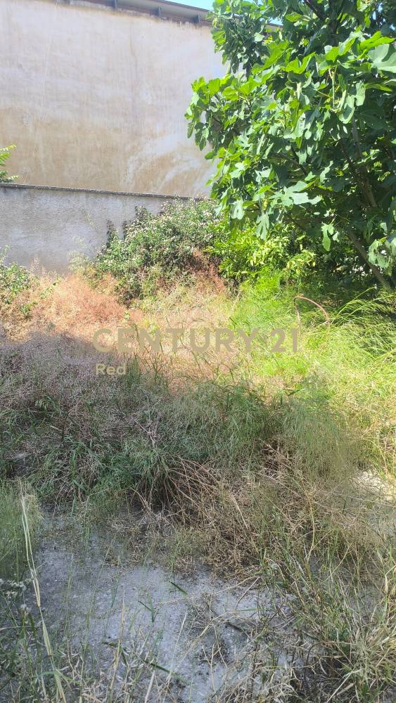 Οικόπεδο 440 τ.μ. προς πώληση στην περιοχή Ελευσίνα — φωτογραφία 6